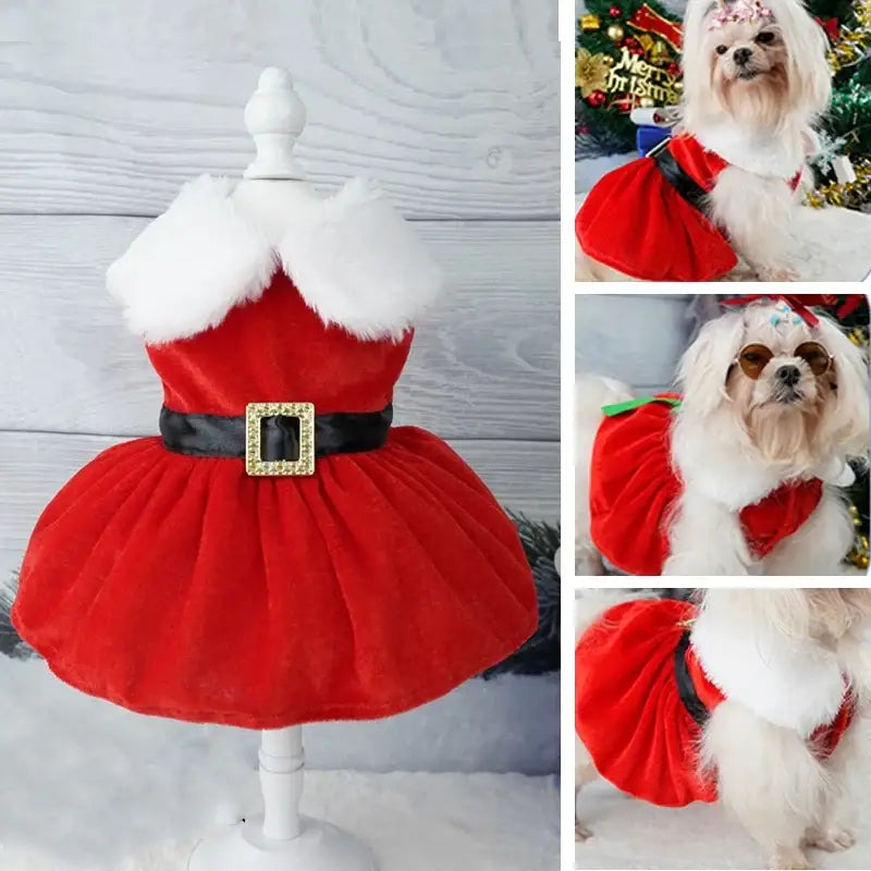 Christmas dress for dog
