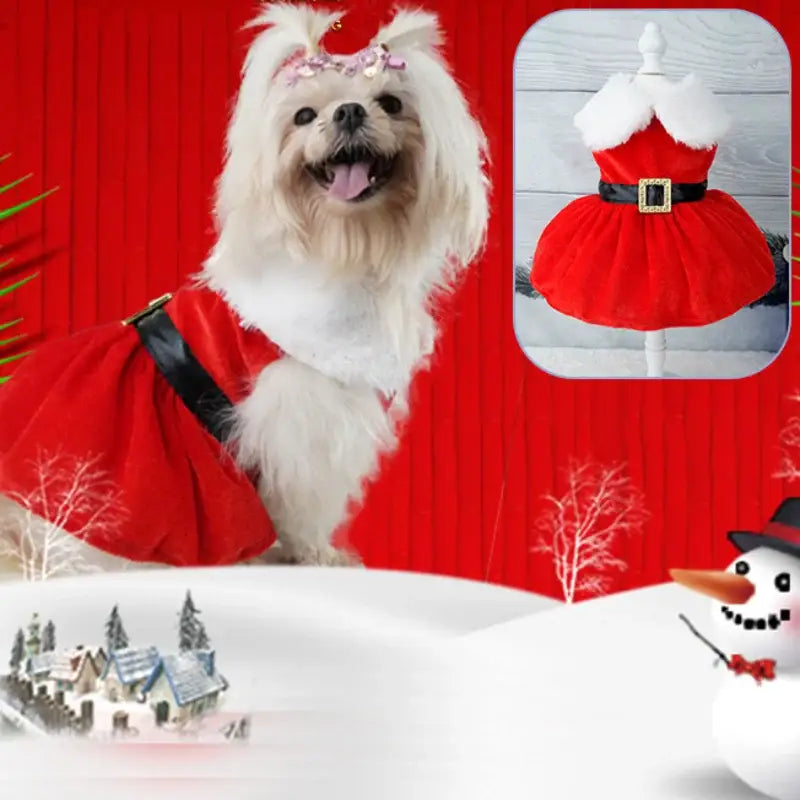 Christmas dress for dog