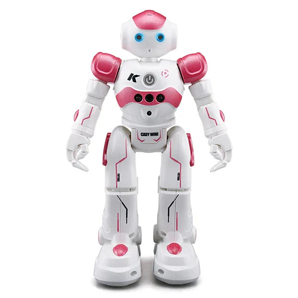 Jouet robot/ RoboJoy
