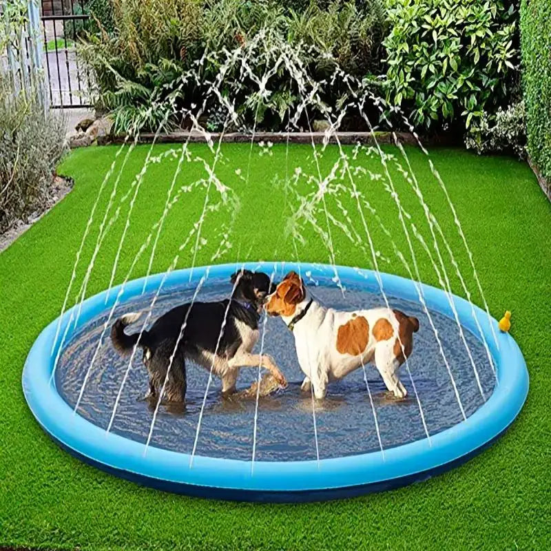 Splash Summer Dog Toy