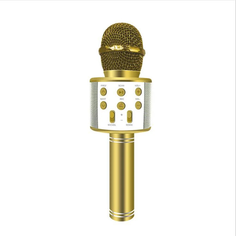 Microfono Karaoke Wireless per Bambini