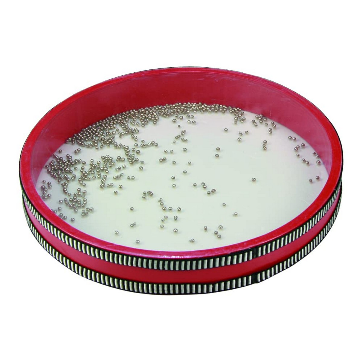 S2425206_0 S2425206_0